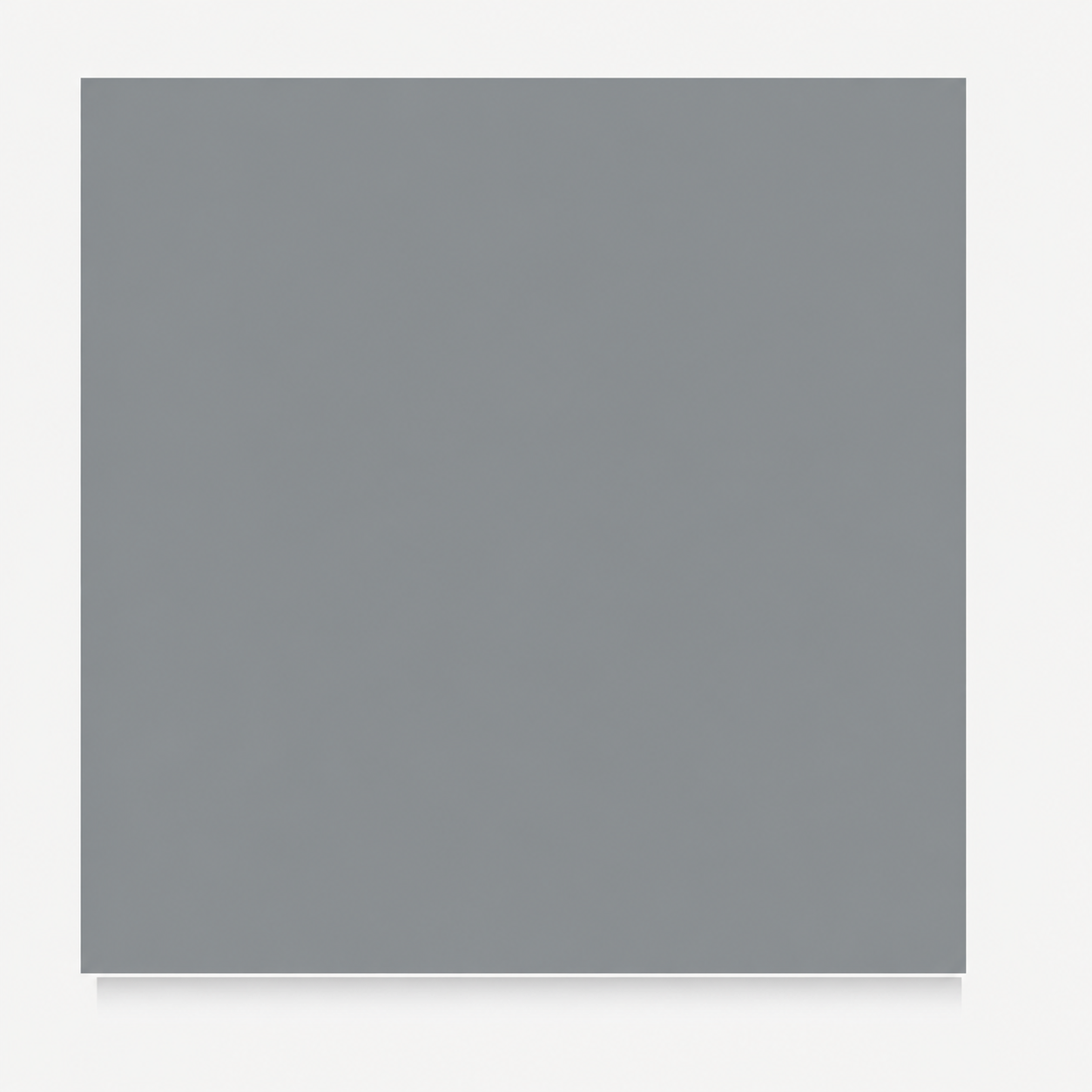 Anta Grey